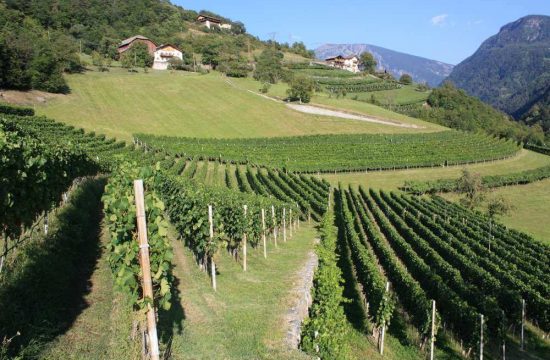 Haus Alpenblick a Laion - Alto Adige