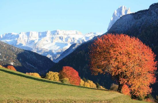 Haus Alpenblick in Lajen - Südtirol