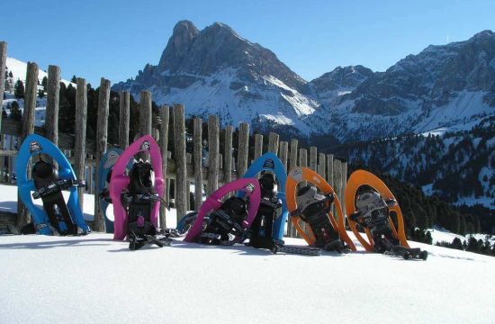 Haus Alpenblick in Lajen - Südtirol