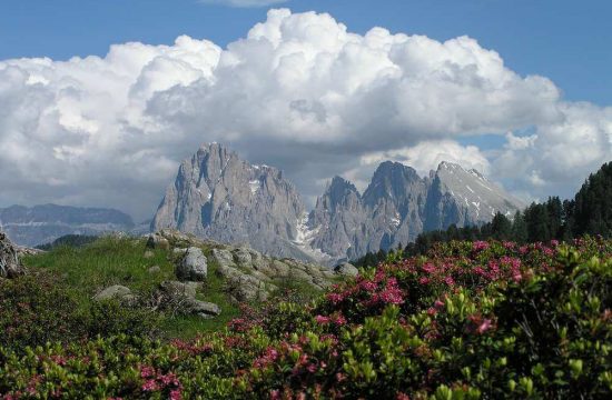 Haus Alpenblick a Laion - Alto Adige