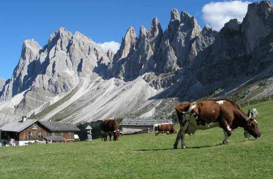 Haus Alpenblick in Lajen - Südtirol