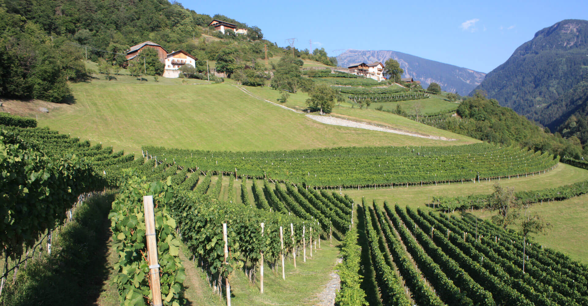 Sommerurlaub Eisacktal - Südtirol